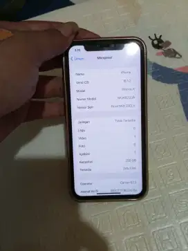 iPhone x 256 GB