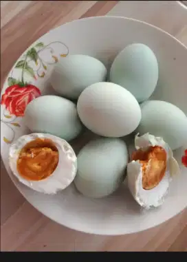ARI TELUR ASIN ASLI
