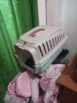 Tempat Kucing Apa aja