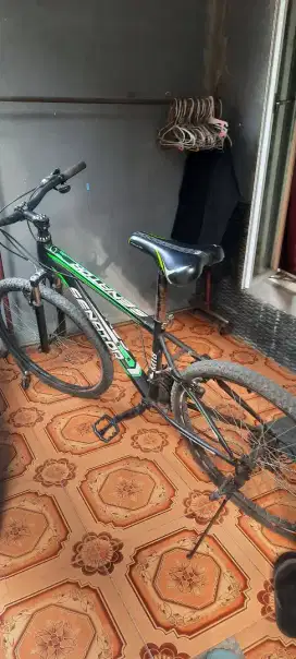 Sepeda MTB senator