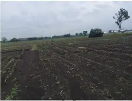 Tanah Kel Pojok Kulon Kec Kesamben Kab Jombang