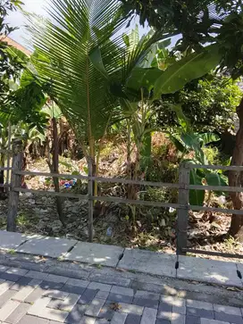 TANAH MURAH LOKASI PAKAL SURABAYA BARAT