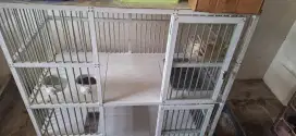 Kandang kucin 2 tingkat