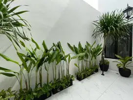 Jual Rumah Baru Lokasi Strategis Lingkunga Nyaman Murah Di Pamulang