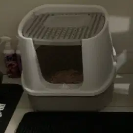 Litter box kucing
