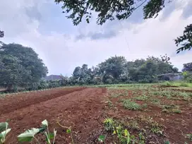 Tanah Strategis Cinangka – Harga Mulai Rp 4,1 Juta/m², SHM & Siap Bang