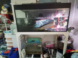 Aquarium 120cm x 60cm x 60cm