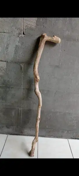 Tongkat kayu bidara asli