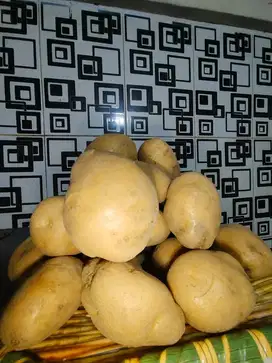 kentang kuning ngabisin stok sisa 200kg