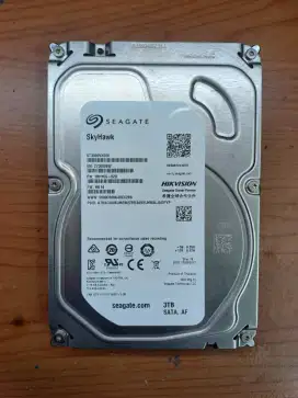 Hardisk Seagate Skyhawk 3 TB