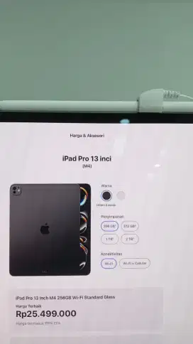 iPad Pro M4 13 inch
