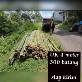 Bambu Pring proyek
