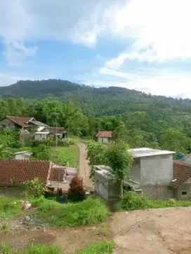 DIJUAL CEPAT VILLA CANTIK & LAHAN CIWIDEY