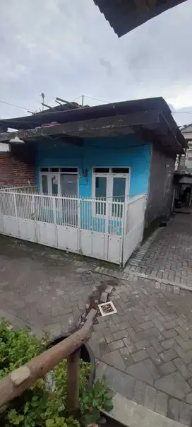 Rumah Jalan Ikan Piranha Malang Kota