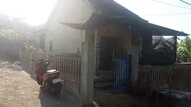 Dijual rumah siap huni murah di desa bajra selemadeg Tabanan bali