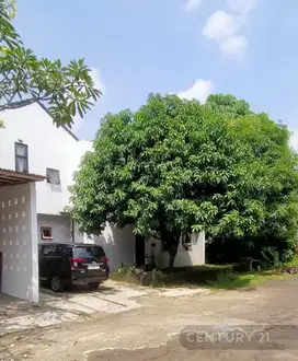 Rumah Hommy Luas 227 Lingkungan Asri Di Puri Bintaro Sc13991