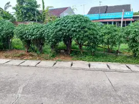 Dijual tanah dekat pemda Karawang