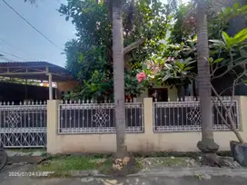 Di sewakan rumah luas cocok untuk kantor dan rumah tinggal di metro