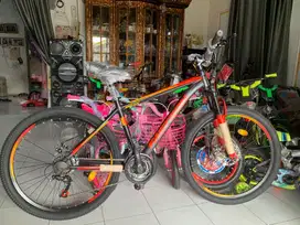 Mtb 26 inch fastron by pacific barang baru bisa cod wil palembang