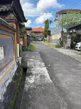 Hitung Beli Tanah 2,7Are Isi Rumah di Ubung Kaja - Tunggul Ametung