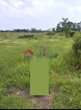 Jual Tanah Gurah Kab Kediri 200 Meter Dari Jalan Provinsi