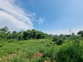 Tanah Bagus Cocok Buat Sekolah / Pesantren / Gedung Nikah / Perumahan