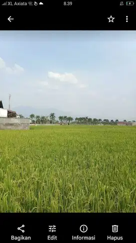 Dijual tanah di mainroad soreang