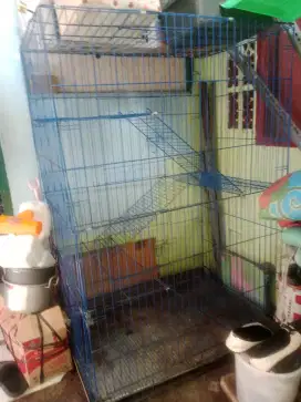 Kandang kucing bekas