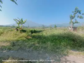 TANAH PACET VIEW GUNUNG CANTIK SEJUK AIR JERNIH