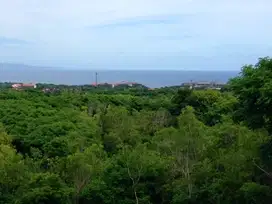 14 are ocean view sekitarnya sudah banyak Villa harga nego