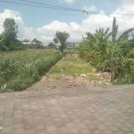 Jual Tanah Luas 800m²/8are di Padang Galak Sanur Denpasar Invest area