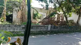 TANAH PEKARANGAN VIEW SAWAH 348M2 AKSES ASPAL DEKAT JL PALAGAN.JK13388