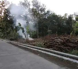 TANAH PEKARANGAN DEKAT PASAR GROGOL SAWOO PONOROGO