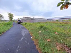 MURAH! Tanah Di Jl Palagan KM 10 Lokasi Tepi Jalan Aspal