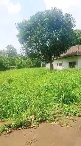 DIJUAL TANAH DI KALIBATA PANCORAN JAKARTA SELATAN