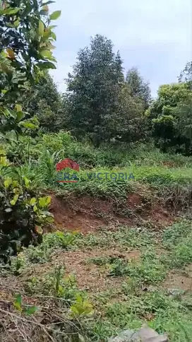 Jual Tanah Cocok Untuk Berkebun di Semen Kab Kediri