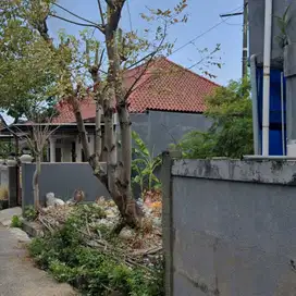 Jual Tanah Harga Global Luas 2are/200m² Jl Imam Bonjol Denpasar