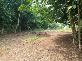 Kavling SHM Cileungsi, Bogor. Fasum Jalan 5 Meter, Cocok Hunian & Kost