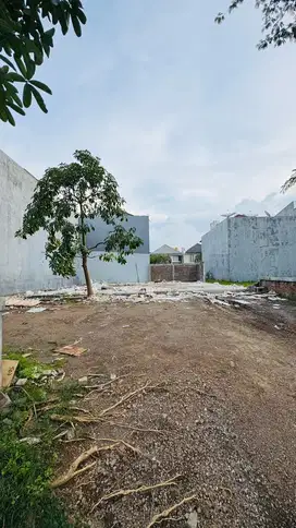 DISEWAKAN TANAH KOSONG KOMERSIAL CITRALAND DEKAT STARBUCKS