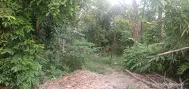 Dijual Tanah Jalan Kaliurang Km 7