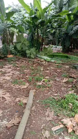 Tanah Kavling Luas 2100m2 SHM di Jl Moh Toha Pamulang Ciputat
