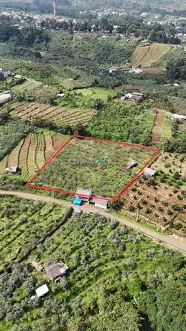 Dijual Tanah, Lahan Perkebunan di Selecta, Tulungrejo Bumiaji Batu