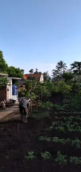 Dijual tanah Strategis sebelah kantor kecamatan Sucinaraja Garut