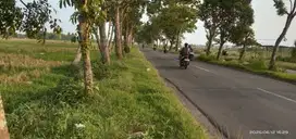 Tanah mangku Jalan Tempel Gedongan
