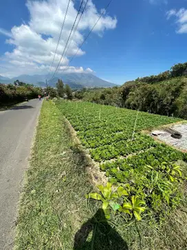 TANAH POROS JALAN DESA MANTING PUJON MALANG