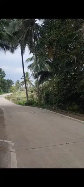 KAVLING DI BANTEN PANDEGLANG