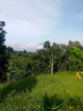 Di jual tanah k Bun view ke gn salak dan pangrango di MegamendungBogor