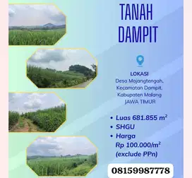 Dijual Tanah Luas SHGU Malang, Jawa Timur