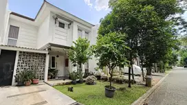 Fresco Aria Foresta BSD