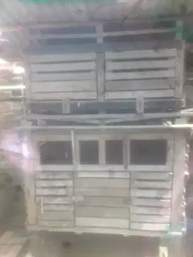 Kandang anak ayam